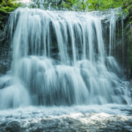 Acupuncture and Chinese Herbs (Julie Johns, L. Ac.) Acupuncture and Chinese Herbs (Julie Johns, L. Ac.)